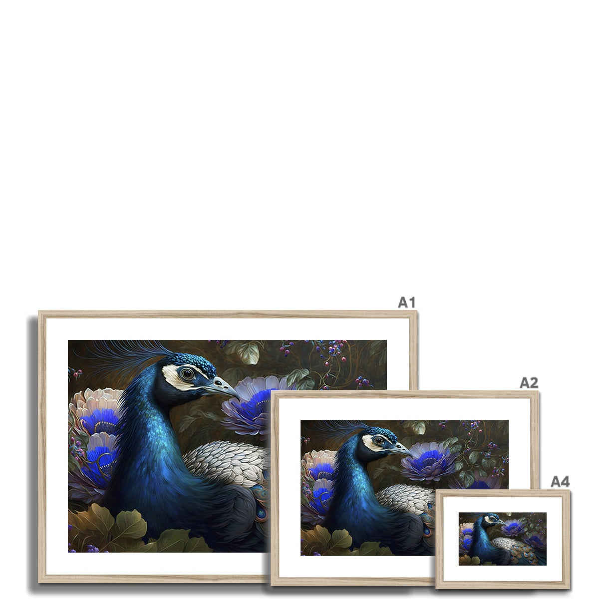 Peafowl Bird - Framed Print