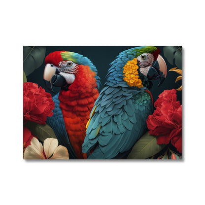 Macaws - Framed Canvas