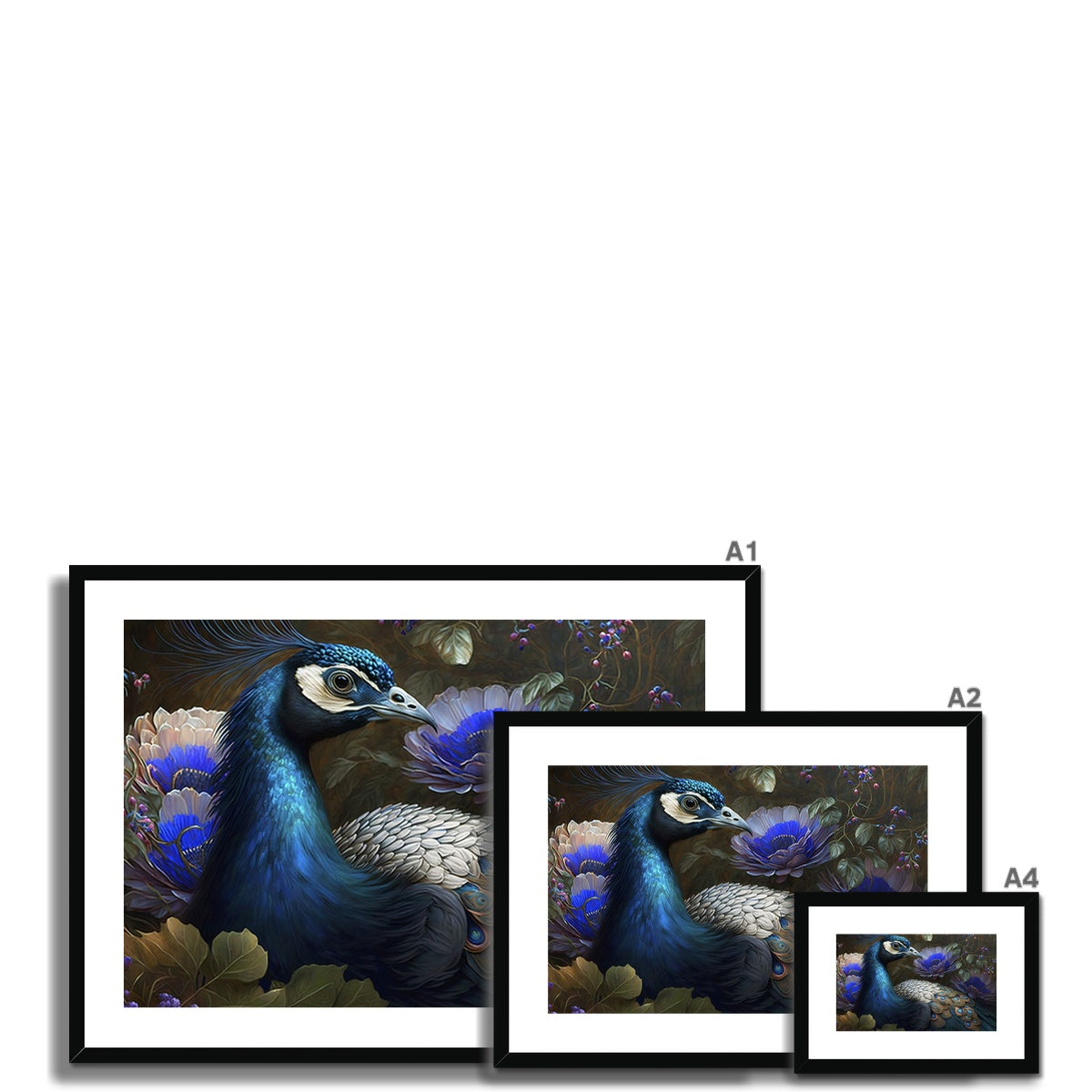 Peafowl Bird - Framed Print