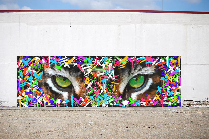 Tiger Eyes Street art